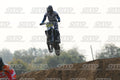 17 · DSH_6461