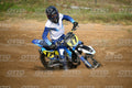 17 · DSH_6489