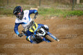 17 · DSH_6491