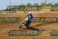 24 · DSH_6534