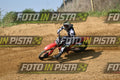 226 · DSH_6549