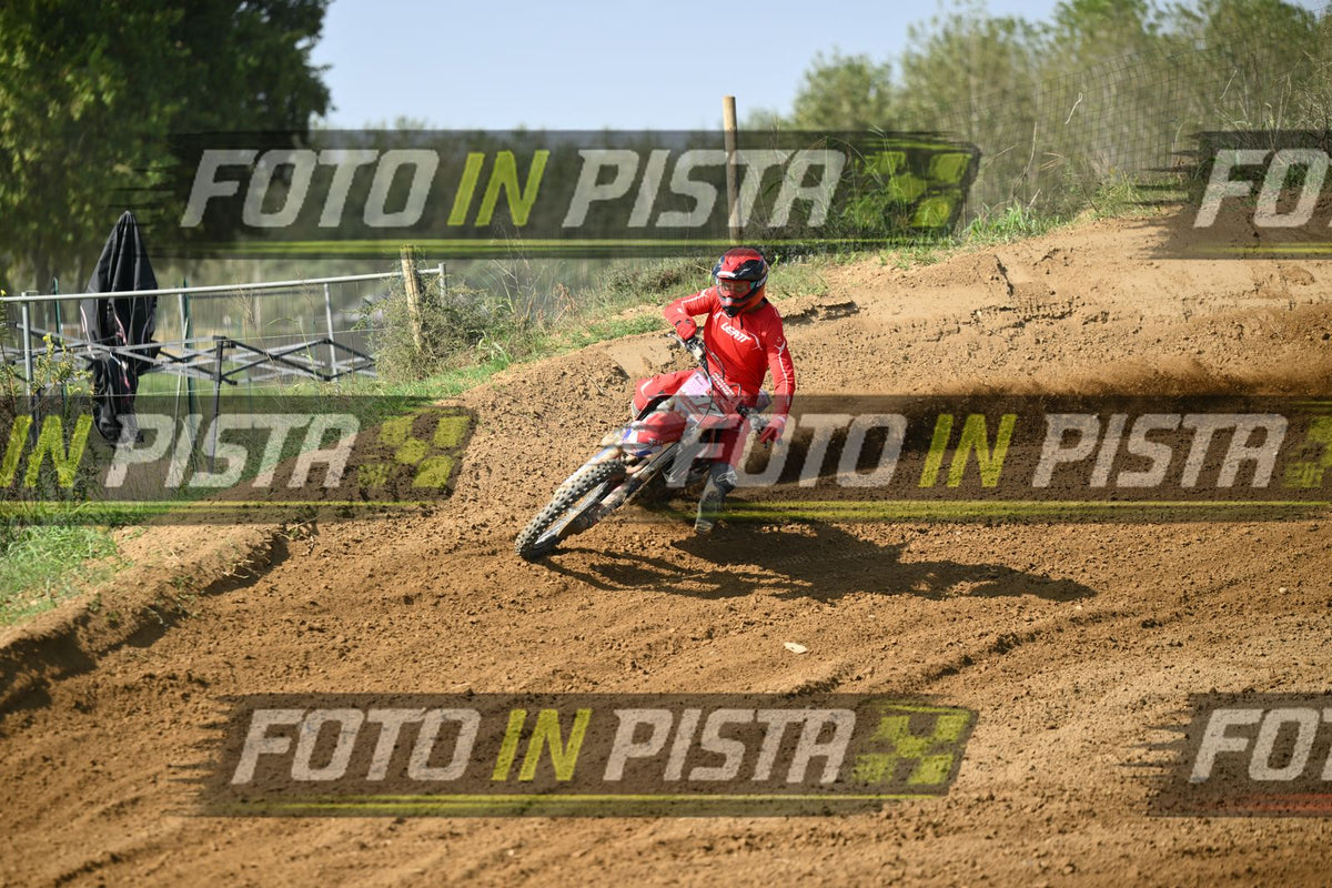 187 · DSH_6572