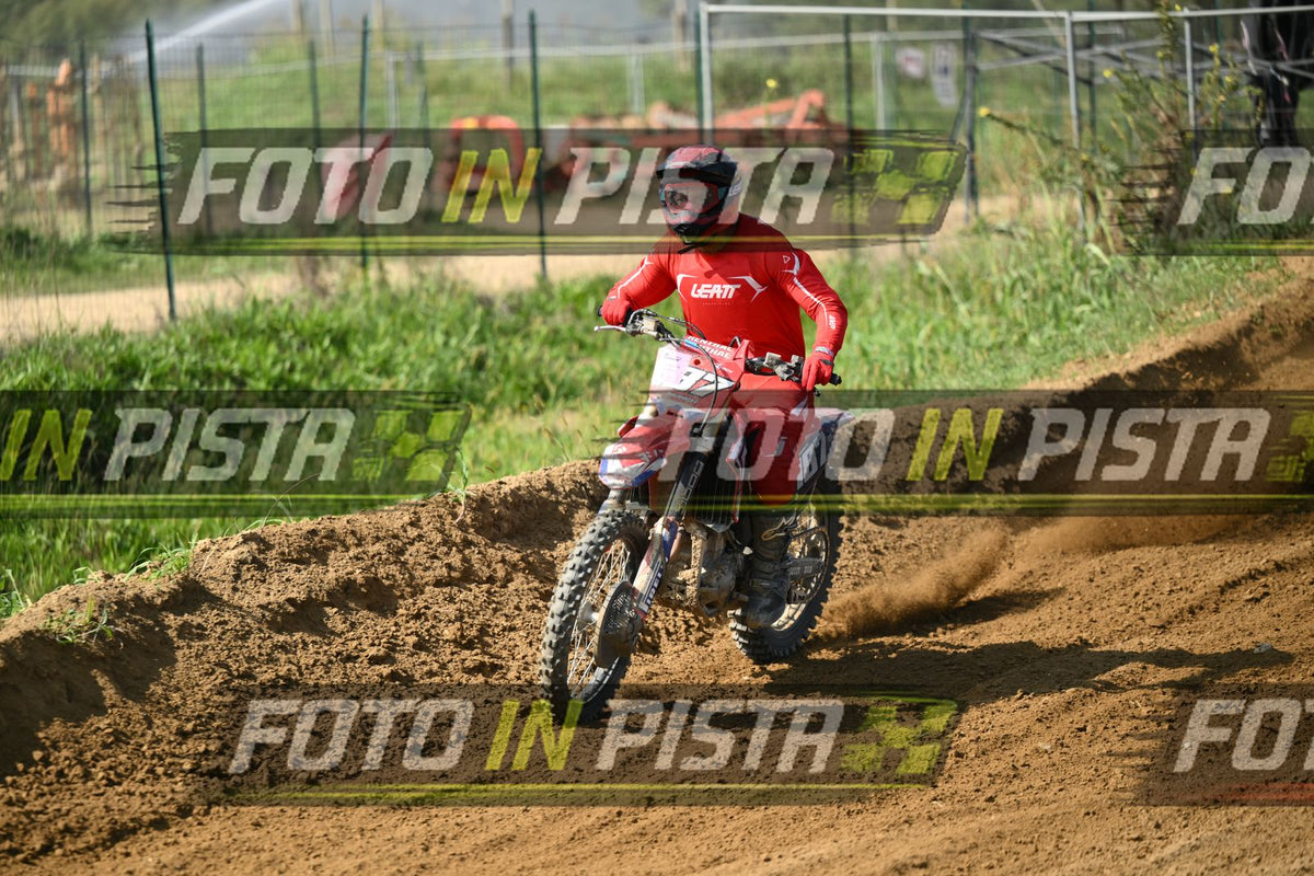 187 · DSH_6582