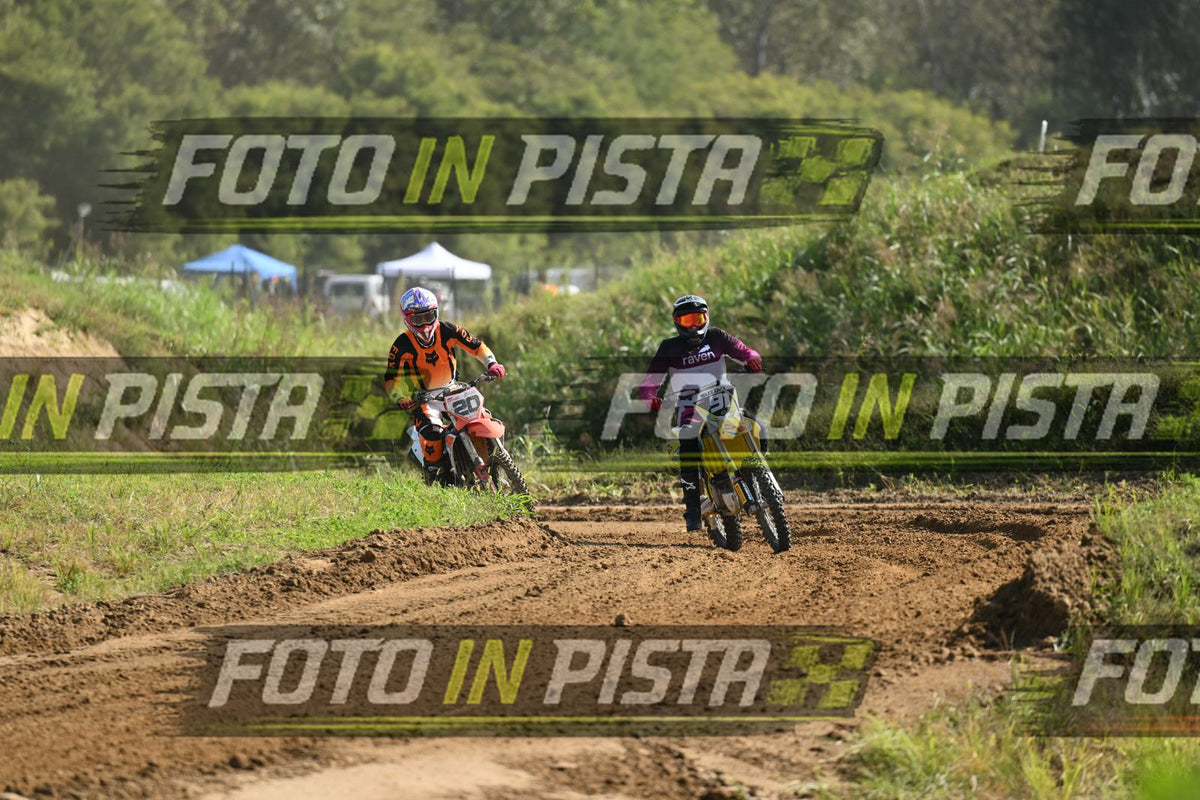 91 · DSH_6588