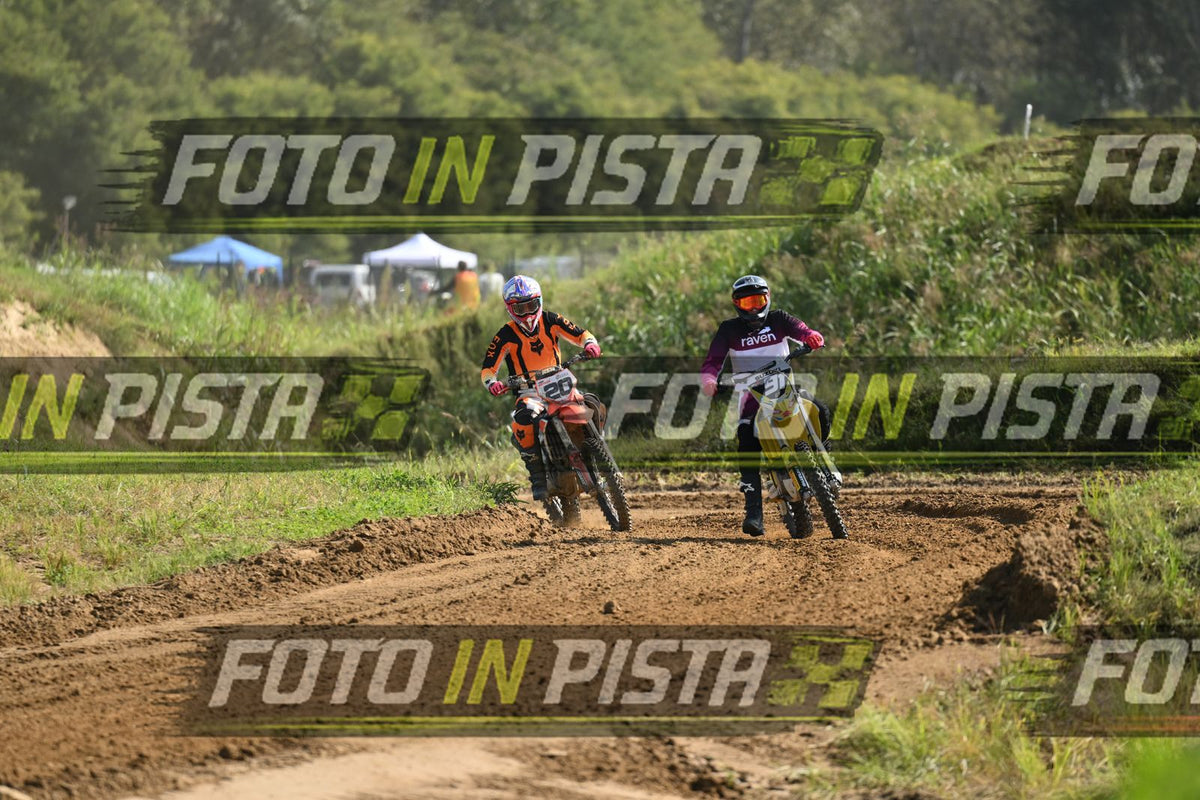 91 · DSH_6589
