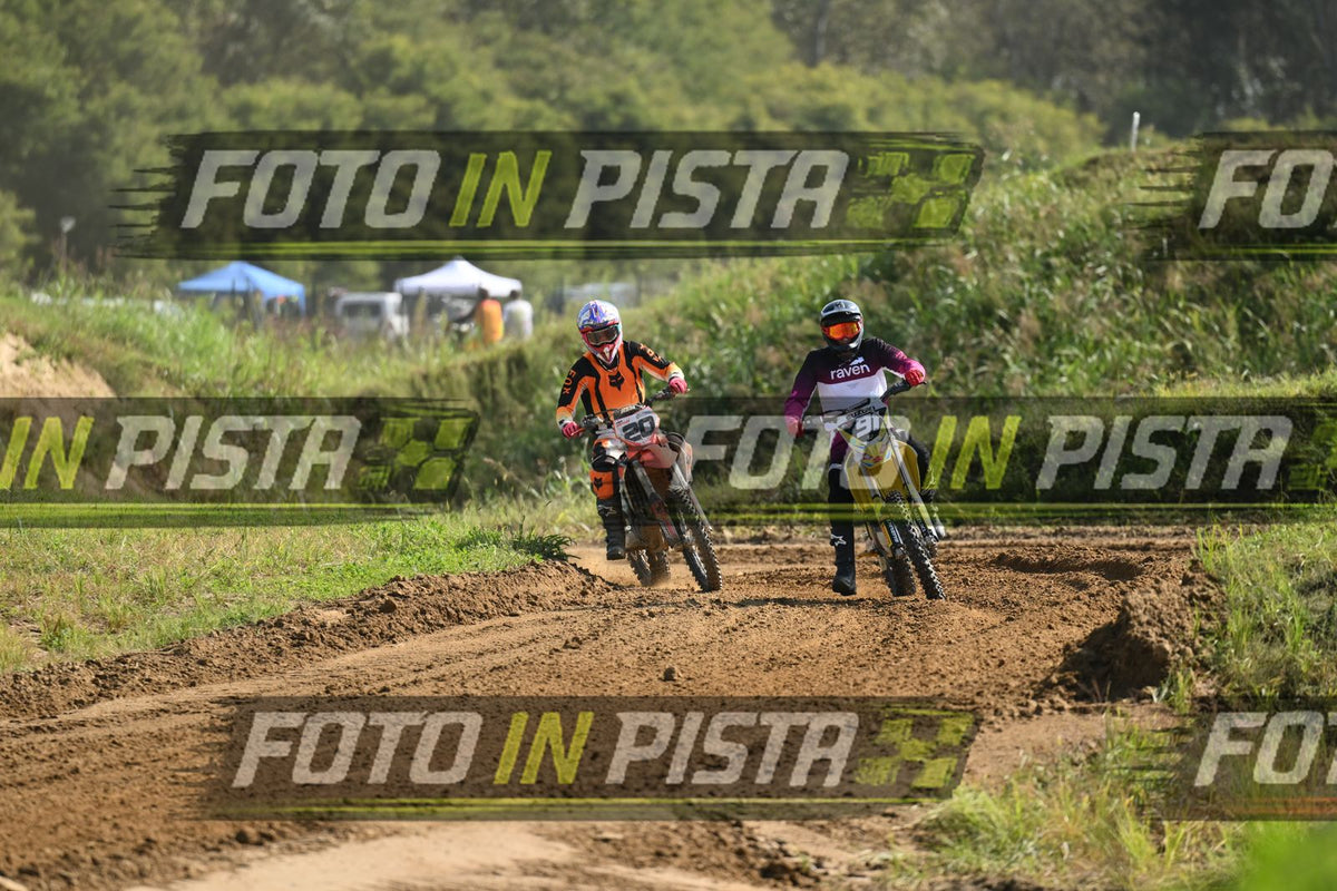 91 · DSH_6590