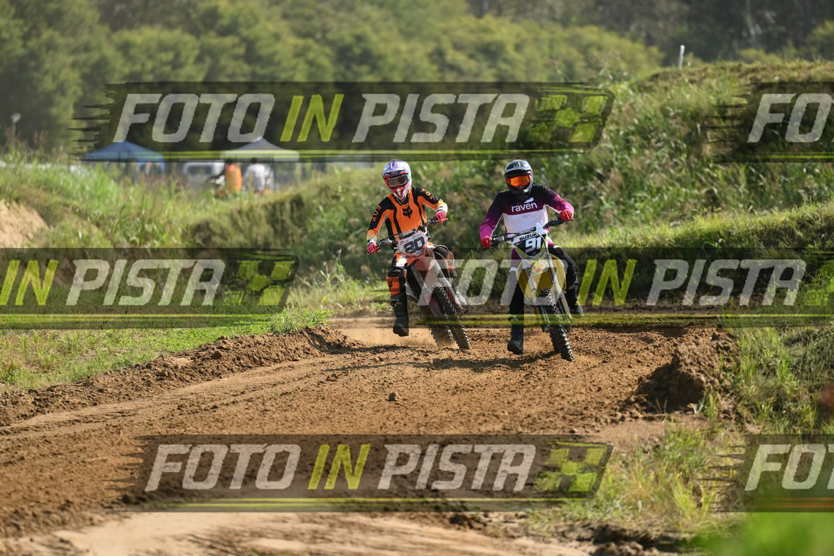 91 · DSH_6591
