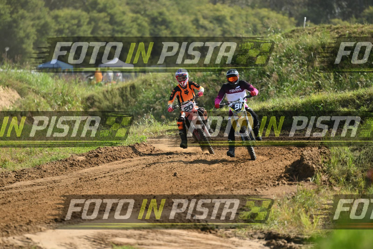 91 · DSH_6592