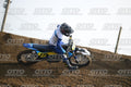 17 · DSH_6592
