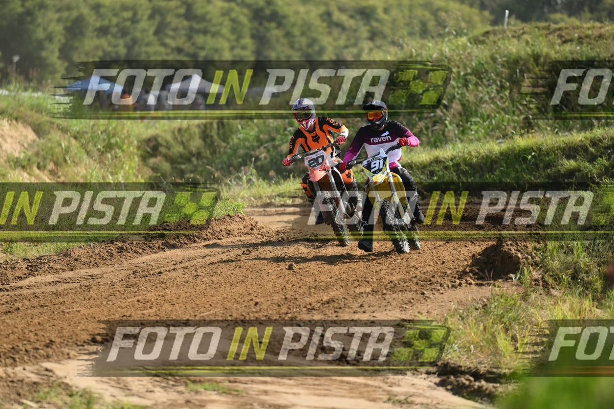 91 · DSH_6593