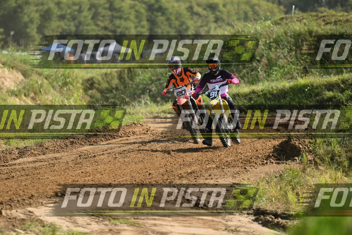 91 · DSH_6594