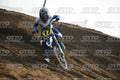 17 · DSH_6595