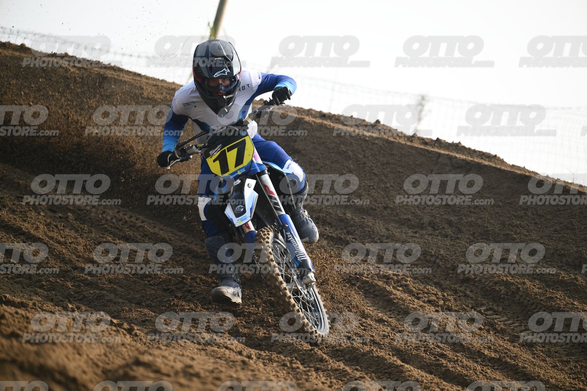 17 · DSH_6595