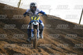 17 · DSH_6596