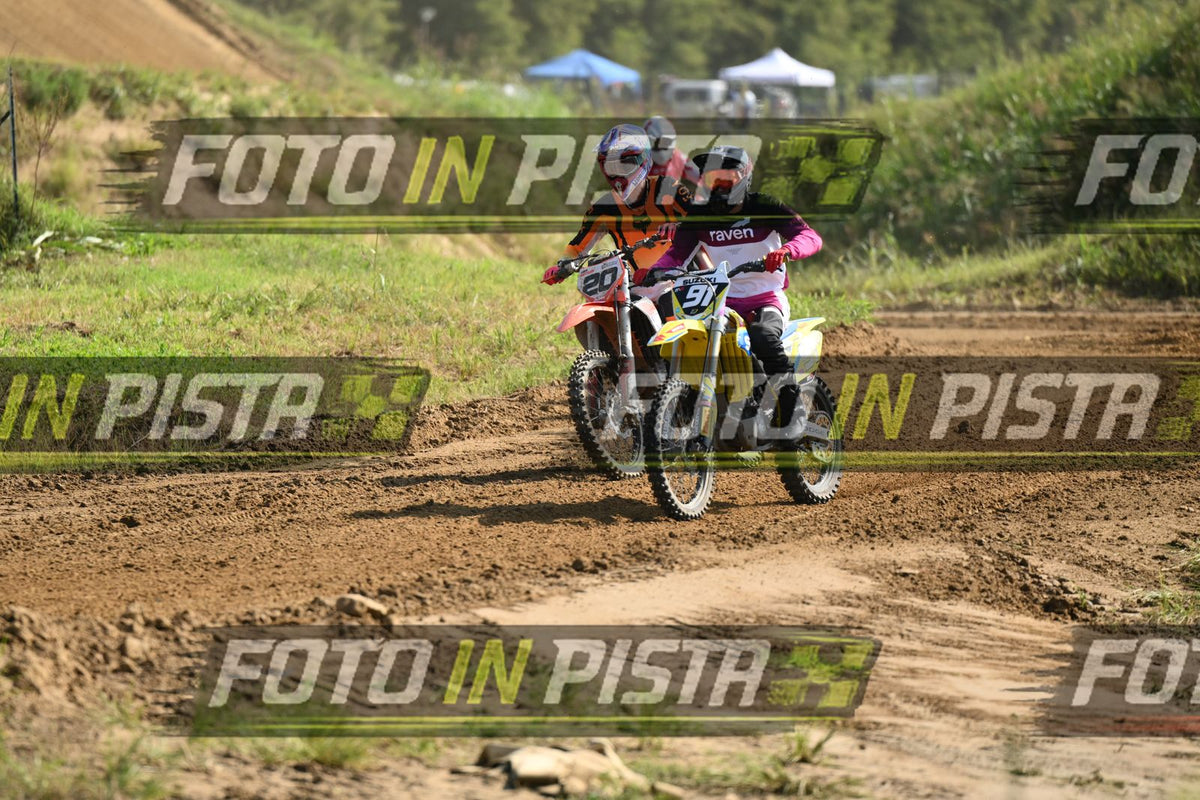 91 · DSH_6597