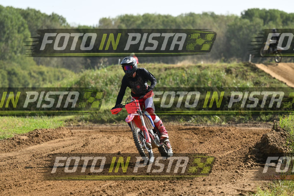 BETA · DSH_6670