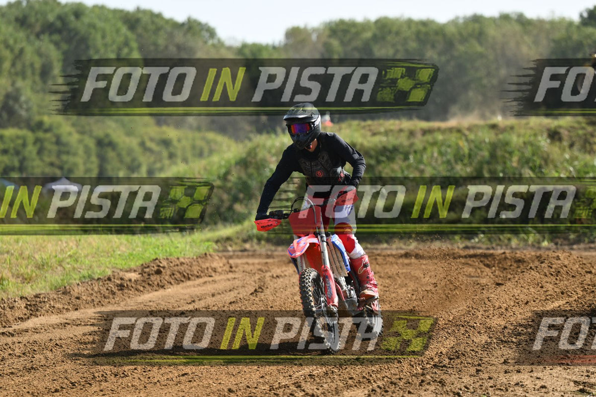 BETA · DSH_6671