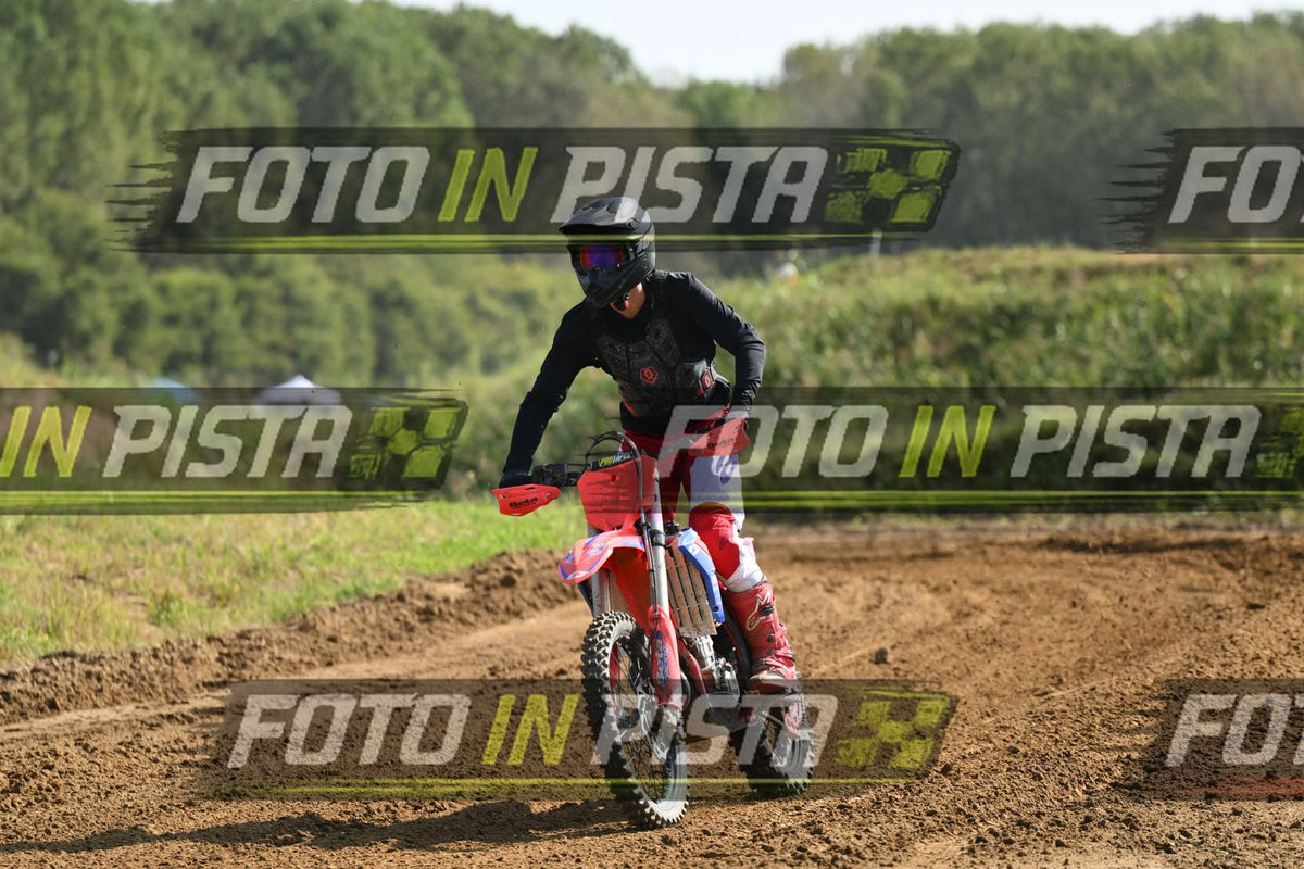 BETA · DSH_6673