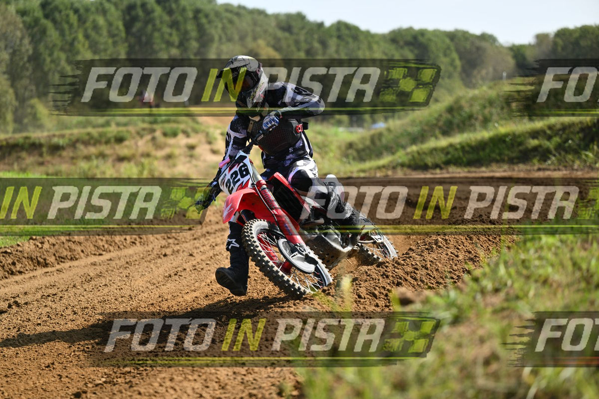 226 · DSH_6739
