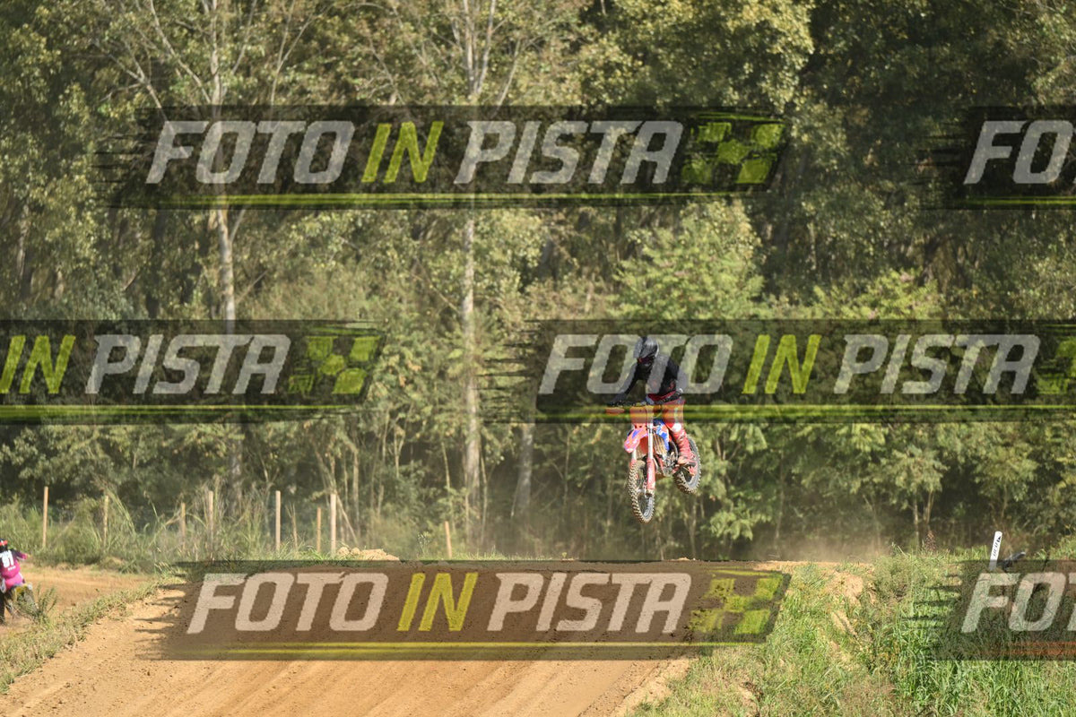 CRF RED BLUEE · DSH_6811