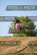 CRF RED BLUEE · DSH_6856