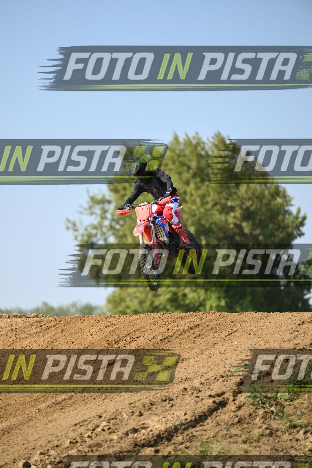 CRF RED BLUEE · DSH_6856