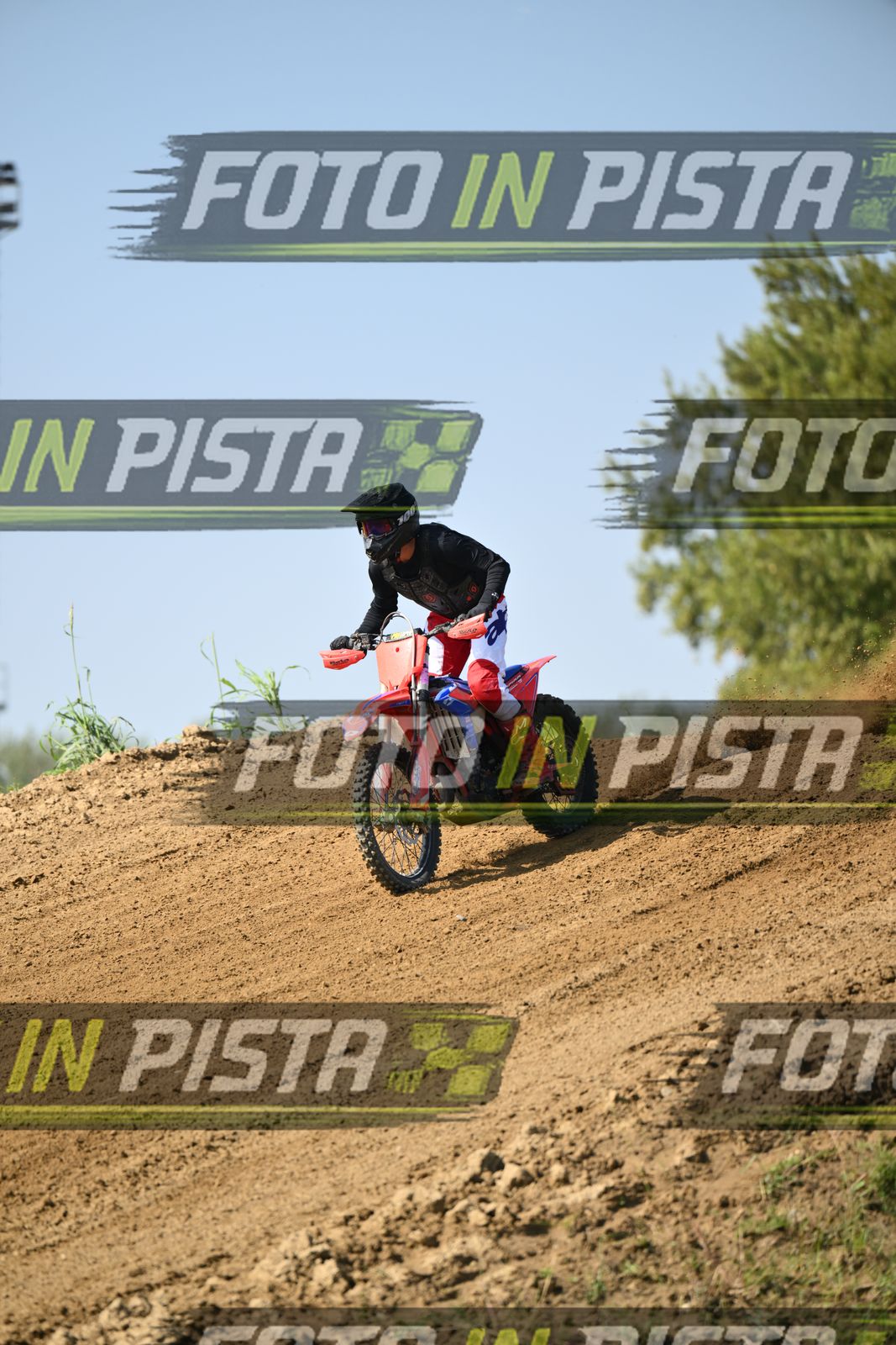 CRF RED BLUEE · DSH_6859
