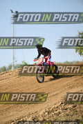 CRF RED BLUEE · DSH_6860