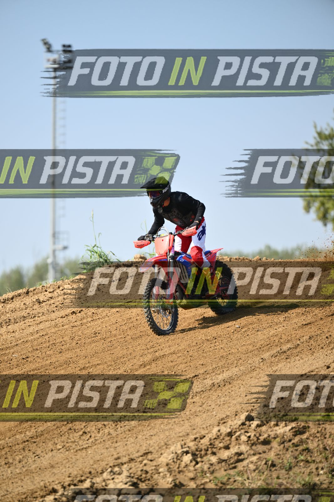 CRF RED BLUEE · DSH_6860