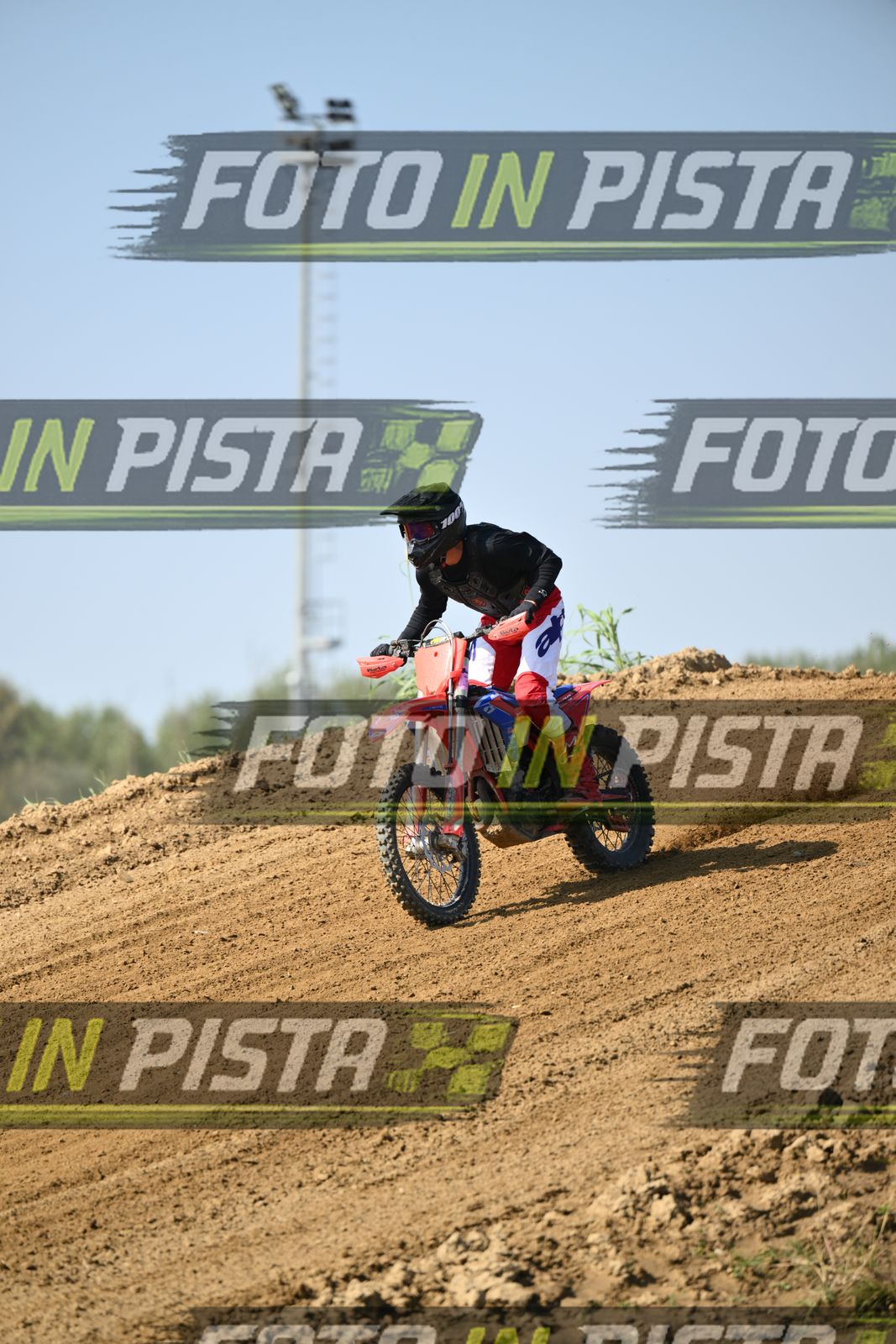 CRF RED BLUEE · DSH_6861