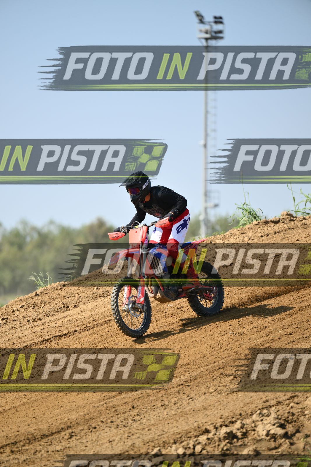CRF RED BLUEE · DSH_6863