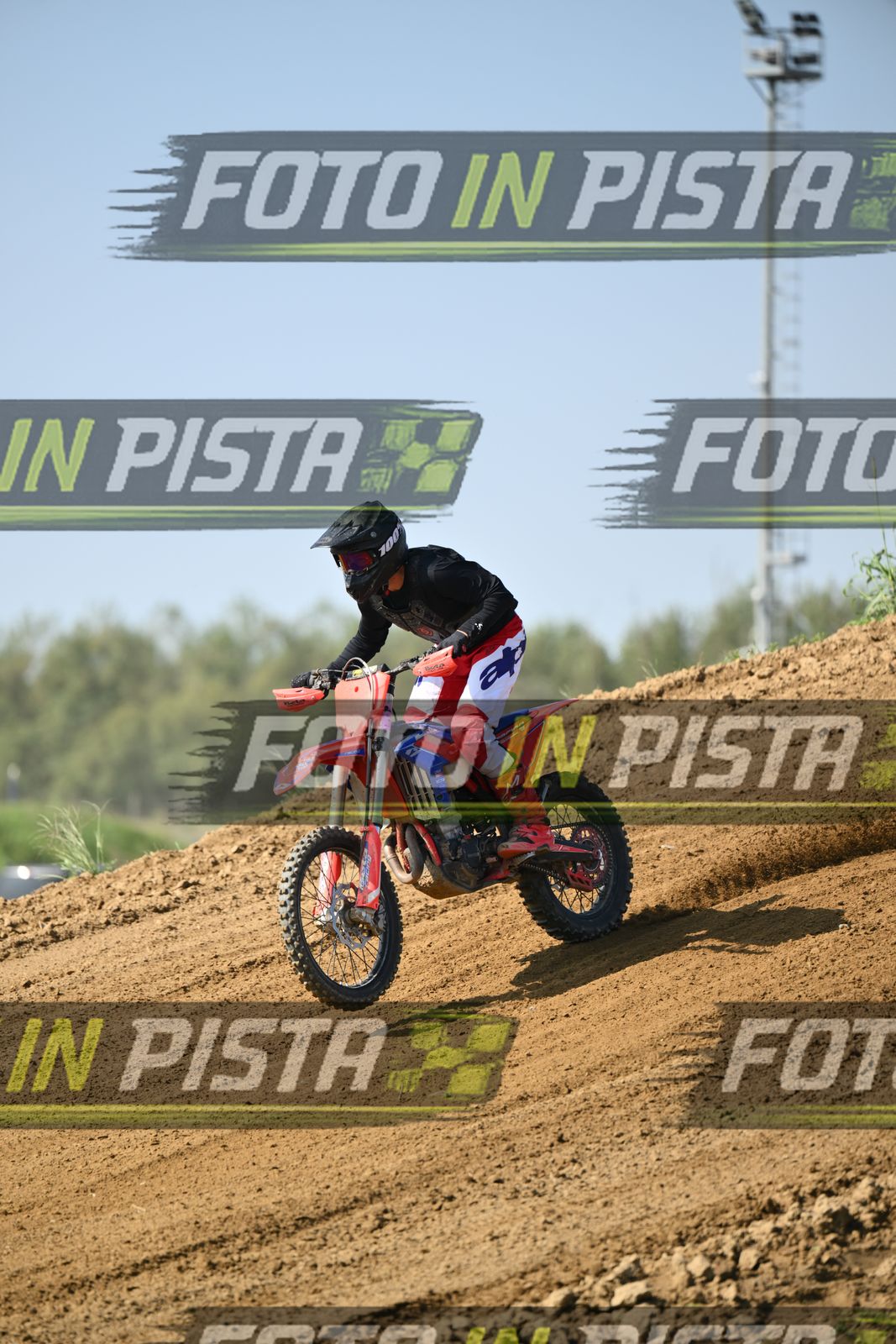 CRF RED BLUEE · DSH_6864