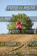 572 · DSH_6865