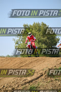 572 · DSH_6866