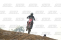 0 - CRF (KINI) · DSH_6868