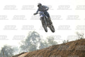 36 · DSH_6917