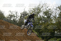459 · DSH_6953