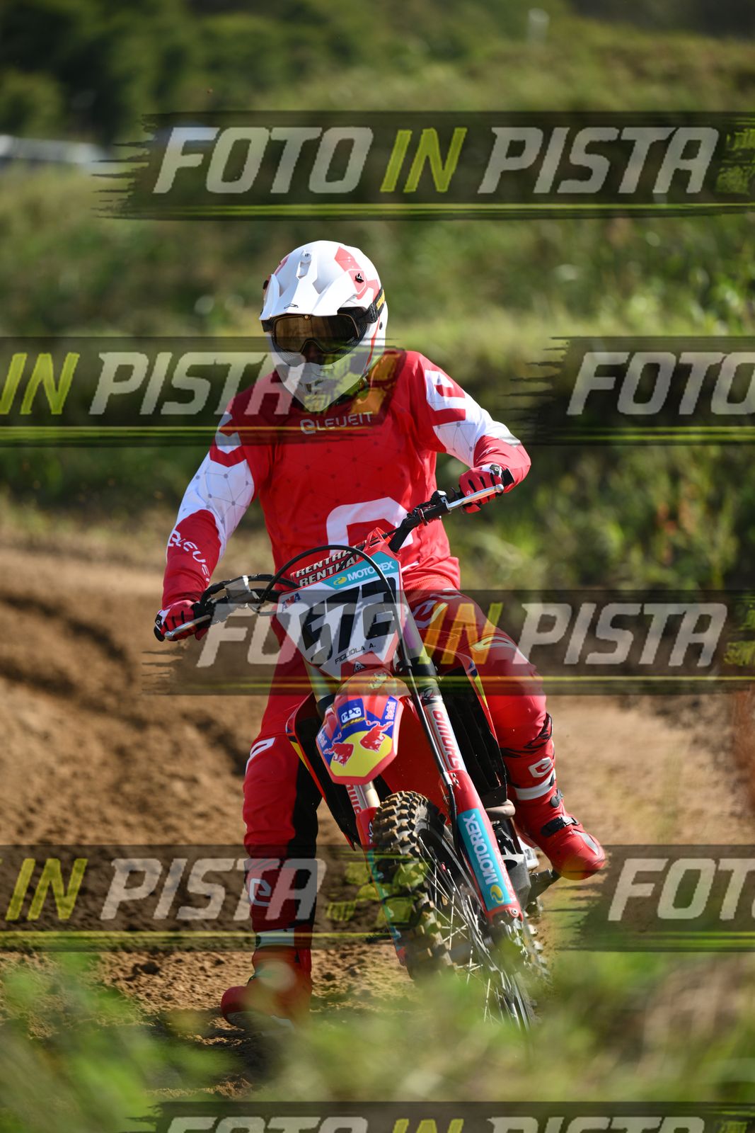 572 · DSH_6967