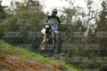17 (2) · DSH_6977
