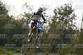 17 (2) · DSH_6978