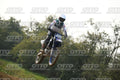 458 · DSH_6981