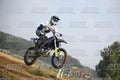 595 · DSH_7003