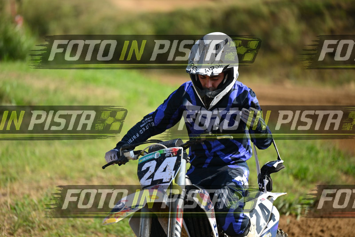 24 · DSH_7004