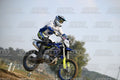 595 · DSH_7004