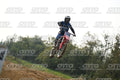 175 · DSH_7009
