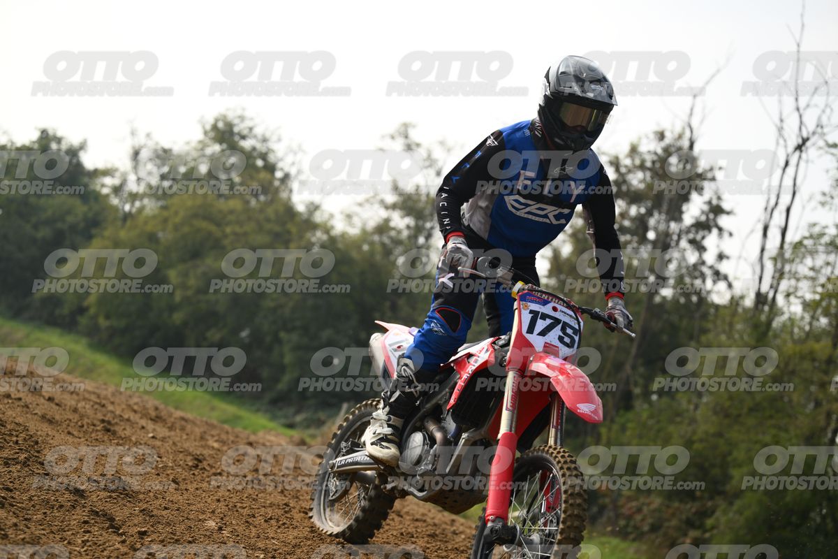 175 · DSH_7011
