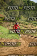 187 · DSH_7019