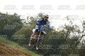 515 · DSH_7019