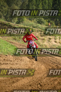 187 · DSH_7021