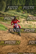 187 · DSH_7023